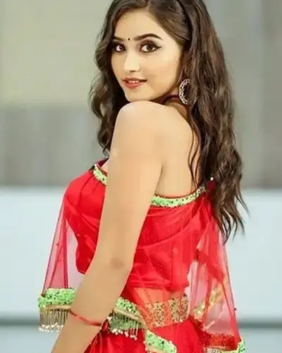 Escort In Rohtas